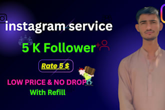 grow your instagram followers with professional promotion
