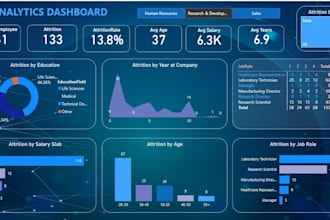 build power bi dashboards for HR and workforce analytics
