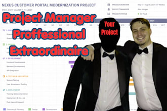 consult and deliver project management expertise on your project