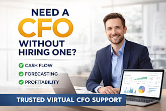 be your virtual cfo, financial controller, and growth advisor