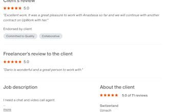 provide professional ecommerce customer support