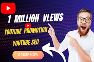 shoutout organic USA youtube channel video SEO promotion 1 million people views