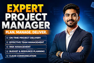create a professional project plan, project charter and risk management plan