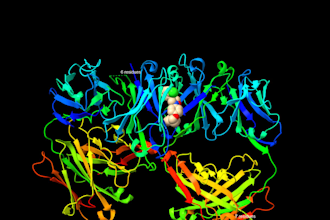 perform molecular docking and cadd analysis for drug discovery research