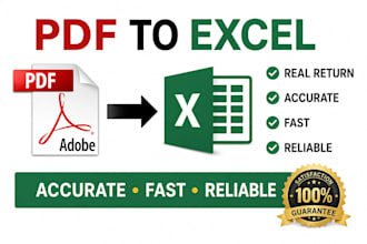 convert PDF into excel with data cleaning and data entry