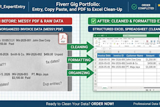 do professional data entry, copy paste, and PDF to excel clean up