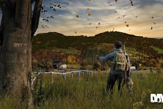 setup custom dayz sever maps, loot system ,dayz building ,server mods