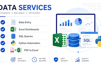 do excel data entry cleaning and sql python data tasks