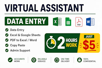 your virtual assistant for data entry task