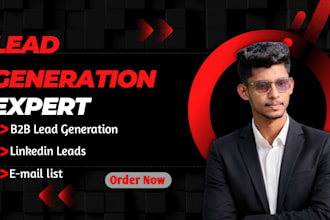 do professional b2b lead generation and targeted data entry