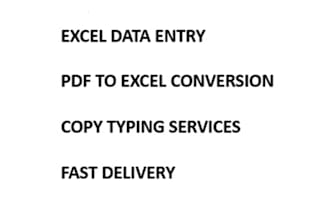professional data entry and PDF to excel conversion