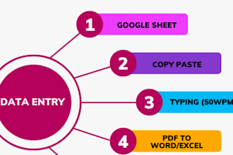 do accurate data entry excel work copy paste in 24 hours