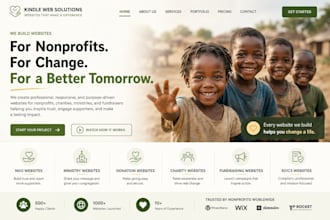design a nonprofit website, charity, ngo, 501c3, donation fundraising website