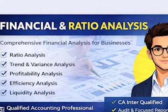 do financial analysis, ratio analysis and business performance review