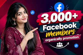 add 3,000 high quality members to your facebook group