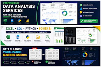 perform professional data analysis and visualization