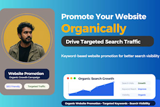 drive organic website promotion campaign for your website