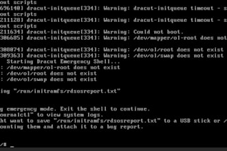 recover your corrupted virtual machines and restore critical data