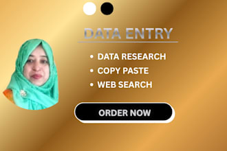 do data entry, data research, copy paste, web search