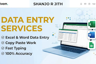 do professional data entry and fast copy paste typing work