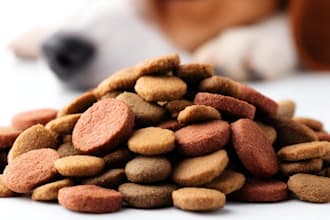 formulate pet care products pet supplements and pet food