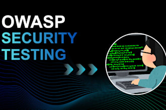 do perform owasp top 10 security testing