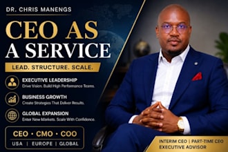 act as your CEO to lead, restructure and scale your company globally