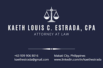 provide professional legal services