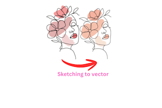 turn hand drawn sketch into colorful vector art illustration