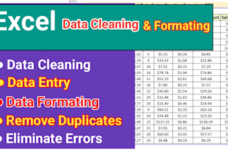 clean, format, merge, split, excel data