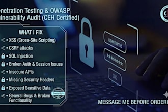 do web app penetration testing, owasp audit, and fix xss, sql injection