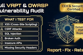 do web application penetration testing and owasp top 10 vulnerability assessment