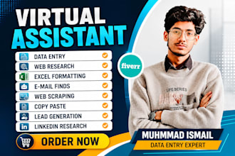do CRM data entry, excel data cleaning, data migration, email finding