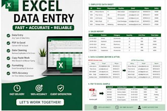do accurate data entry, excel data typing, PDF to excel