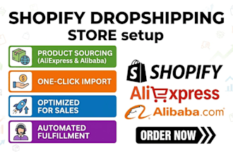 shopify aliexpress dropshipping store build alibaba dropshipping store expert