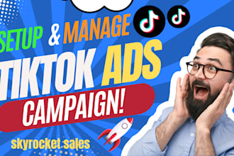 setup and manage profitable tiktok ads campaign