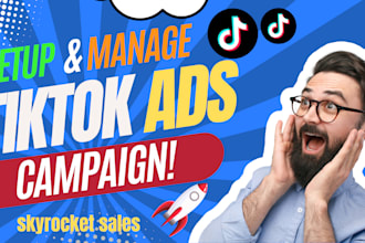 setup and manage profitable tiktok ads campaign