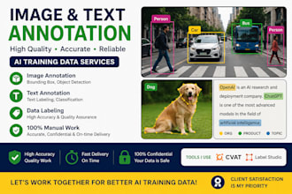 provide image annotation, text labeling and data annotation services
