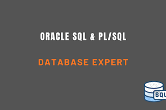 write custom oracle sql and plsql code