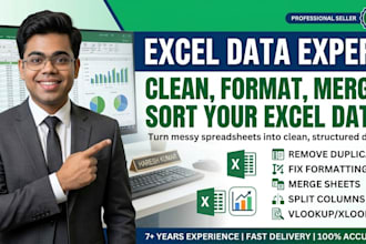 clean, format and organize messy excel data