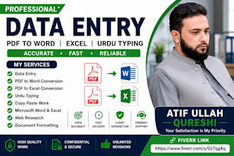 do data entry, urdu typing, PDF to word and excel work