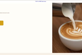 design a professional wix website for your business