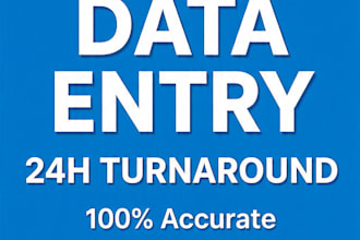do accurate data entry with 24h turnaround