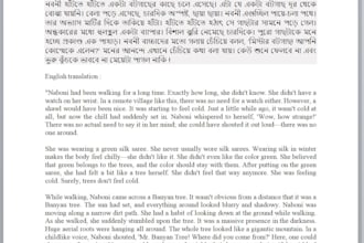 translate english to bangla and bangla to english professionally