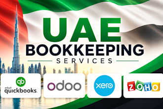provide bookkeeping services, cleanups, reconciliations, for businesses in uae