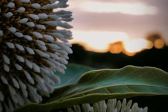 create stunning edits of nature photos