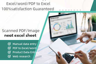 do fast and accurate data entry, excel work and copy typing