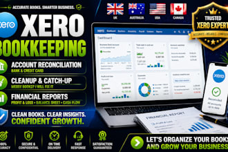 do xero bookkeeping, account reconciliation, cleanup and financial reports