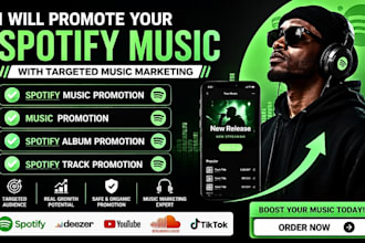 do spotify music promotion and music marketing for artists