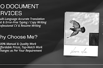 provide multilingual translation and fast typing services